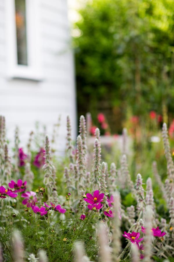 Coghill Cottage Whitianga Εξωτερικό φωτογραφία